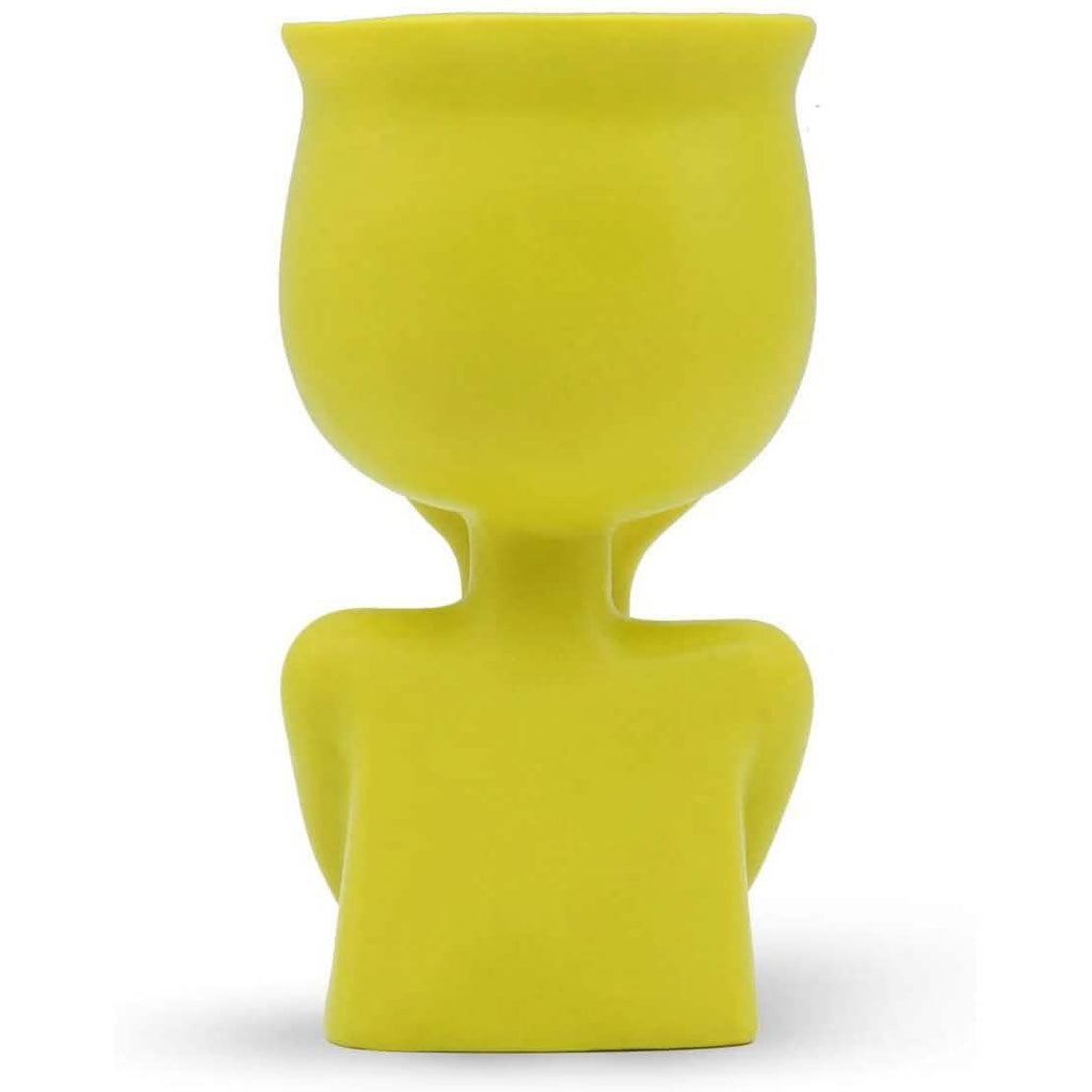 Greneric Character Portrait Flower Pot Resin Succulents Plant Pot by DailySale