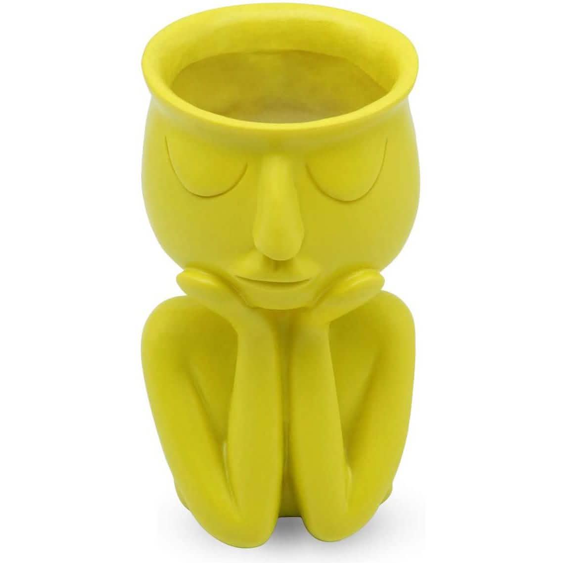 Greneric Character Portrait Flower Pot Resin Succulents Plant Pot by DailySale