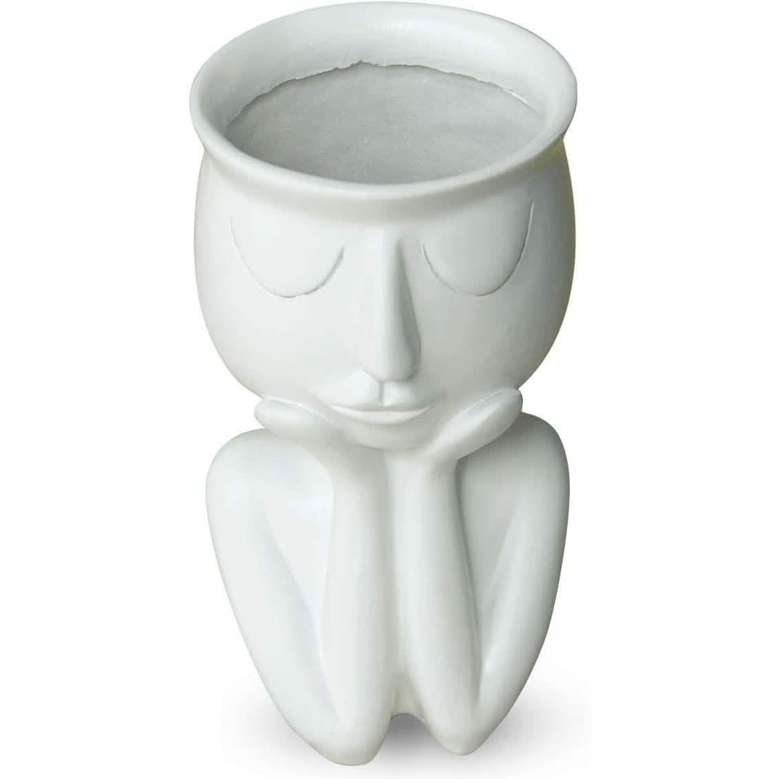 Greneric Character Portrait Flower Pot Resin Succulents Plant Pot by DailySale