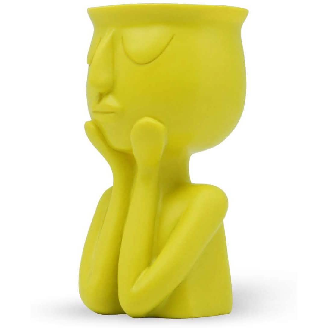 Greneric Character Portrait Flower Pot Resin Succulents Plant Pot by DailySale