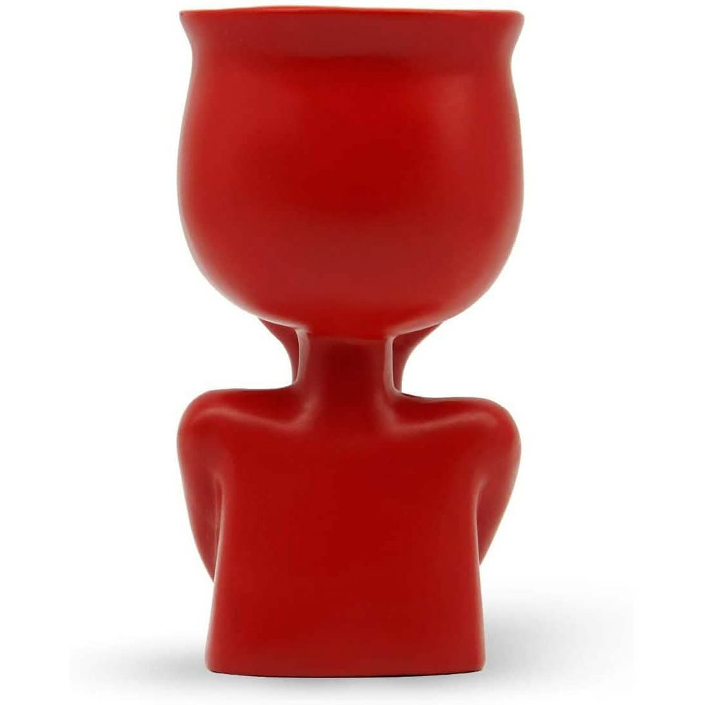 Greneric Character Portrait Flower Pot Resin Succulents Plant Pot by DailySale