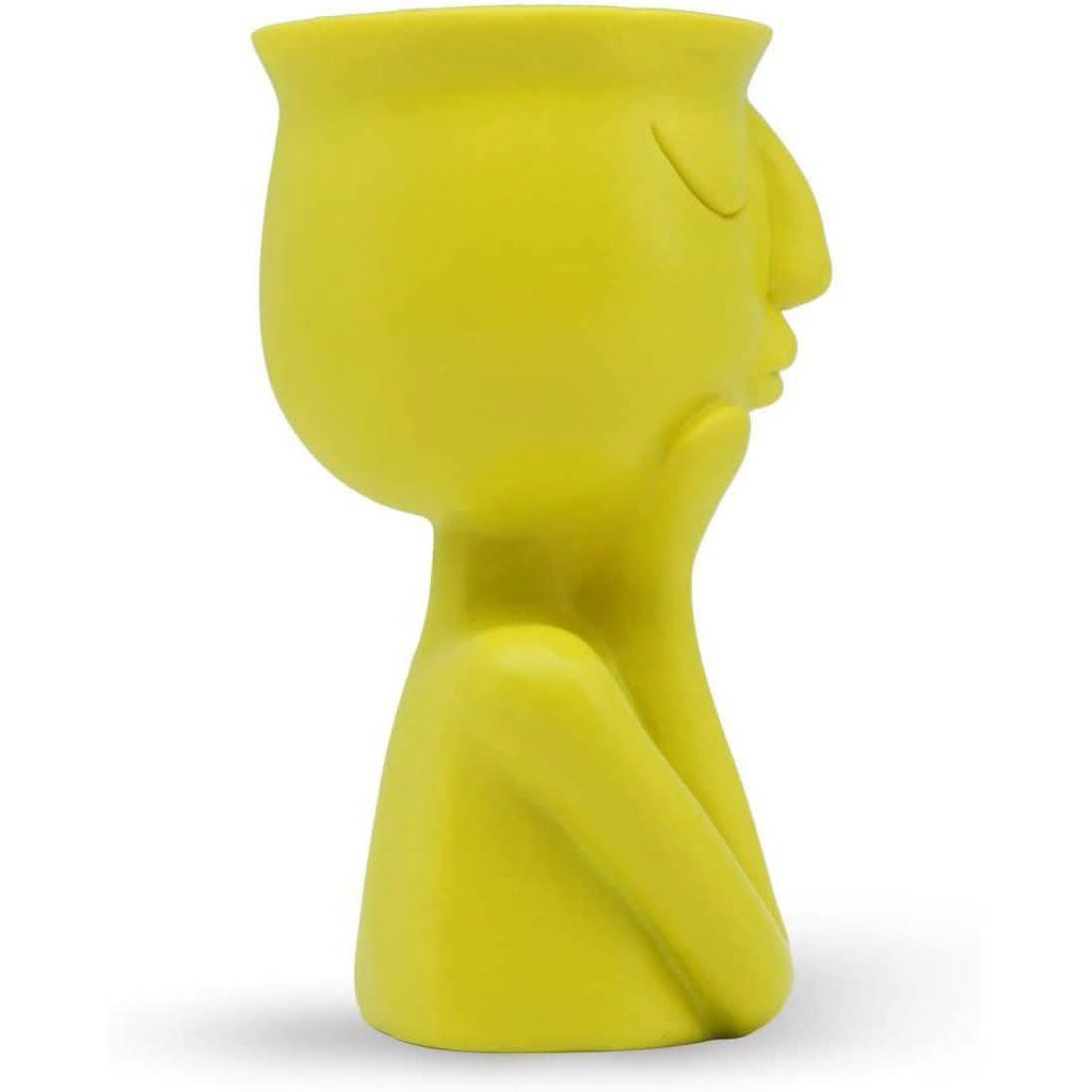 Greneric Character Portrait Flower Pot Resin Succulents Plant Pot by DailySale