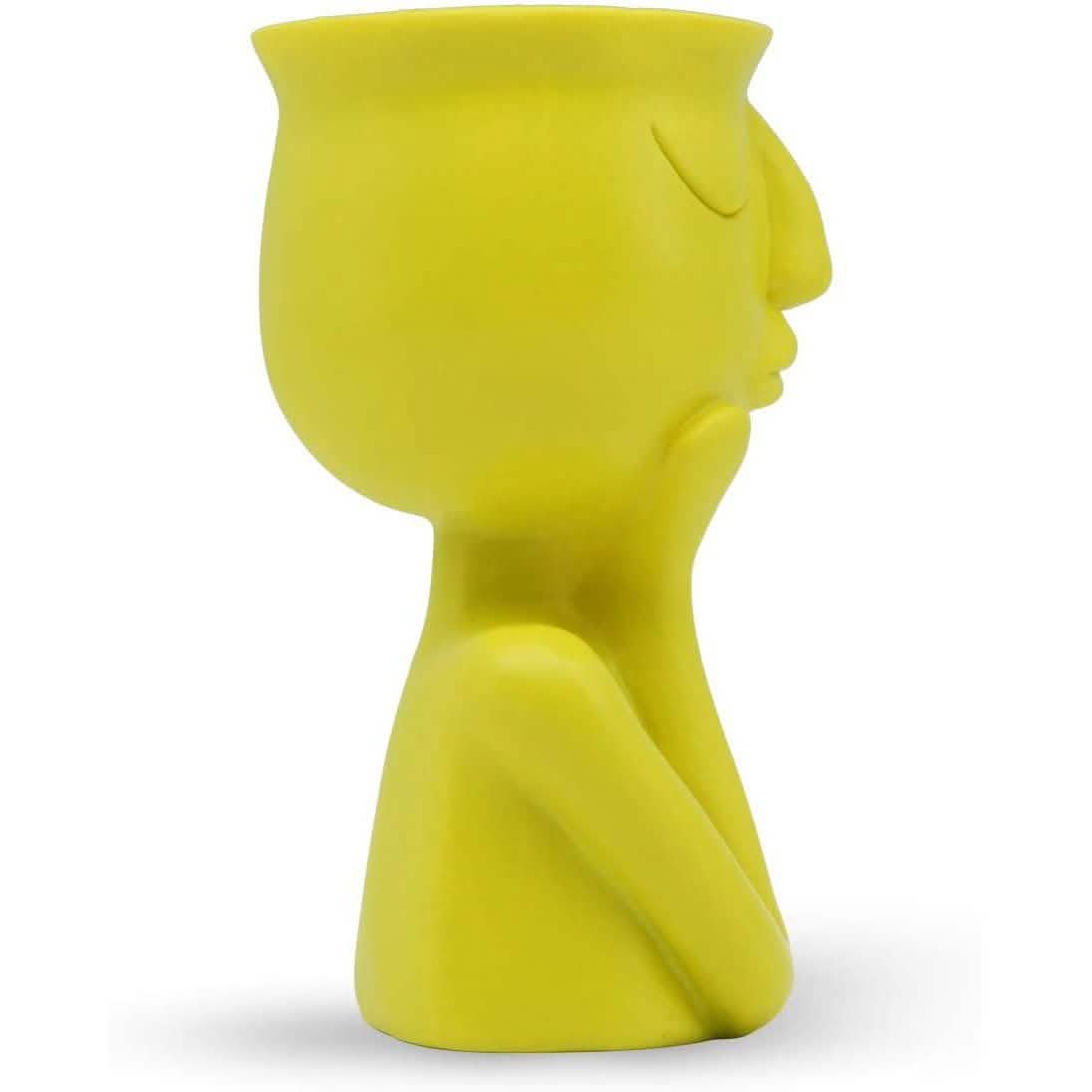 Greneric Character Portrait Flower Pot Resin Succulents Plant Pot by DailySale