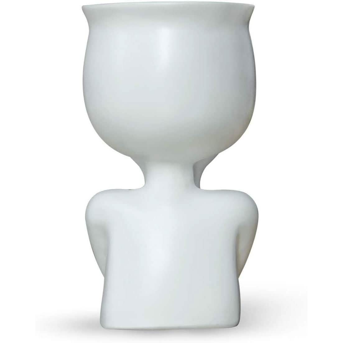 Greneric Character Portrait Flower Pot Resin Succulents Plant Pot by DailySale