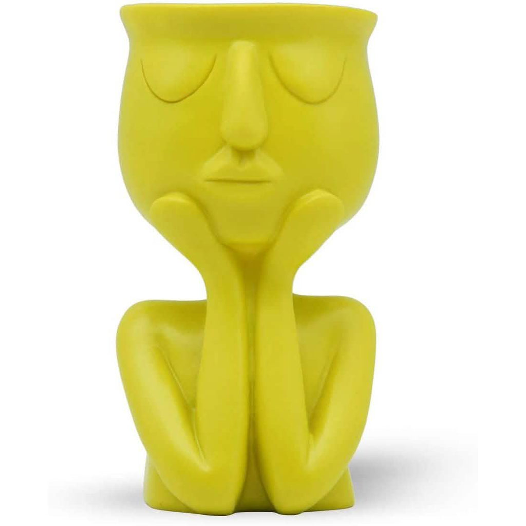 Greneric Character Portrait Flower Pot Resin Succulents Plant Pot by DailySale