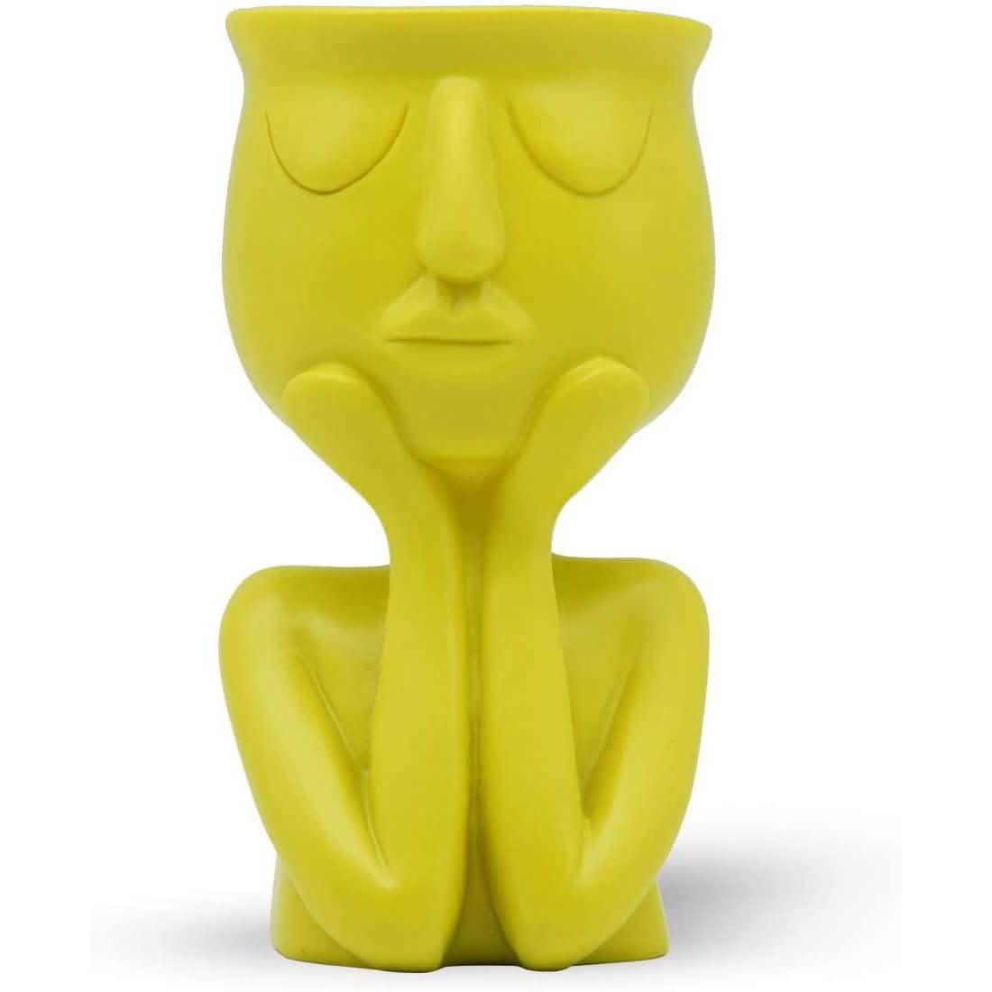 Greneric Character Portrait Flower Pot Resin Succulents Plant Pot by DailySale