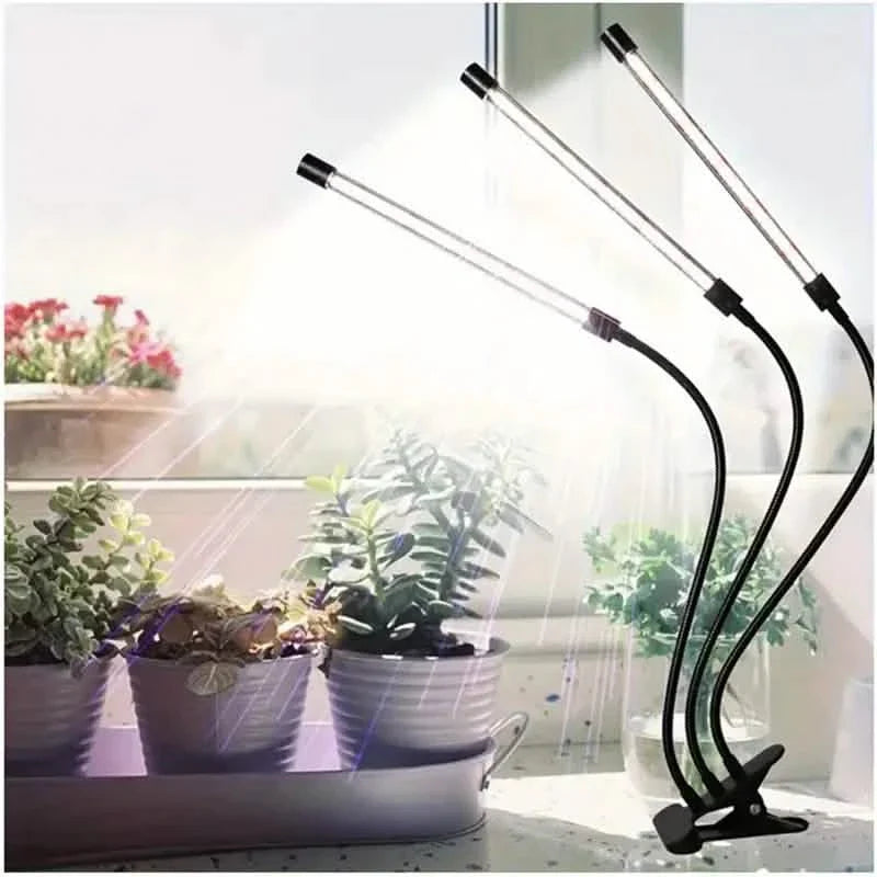 Grow Lights for Seed Starting Auto ON & Off Full Spectrum LED Plant Lights with Timer by DailySale