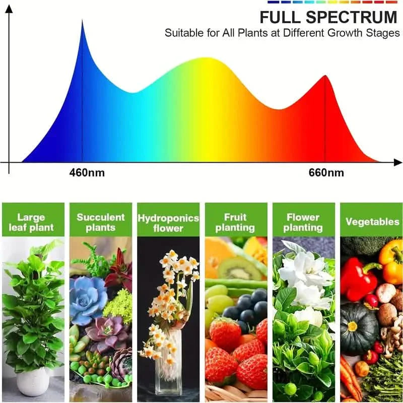 Grow Lights for Seed Starting Auto ON & Off Full Spectrum LED Plant Lights with Timer by DailySale