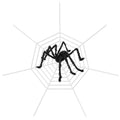 Halloween Decorations Spider 49" with 126" Tarantula Mega Spider Web by DailySale