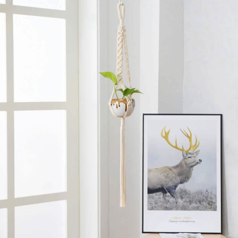 Hand Woven Macrame Tapestry Plant Hanger Holder by DailySale