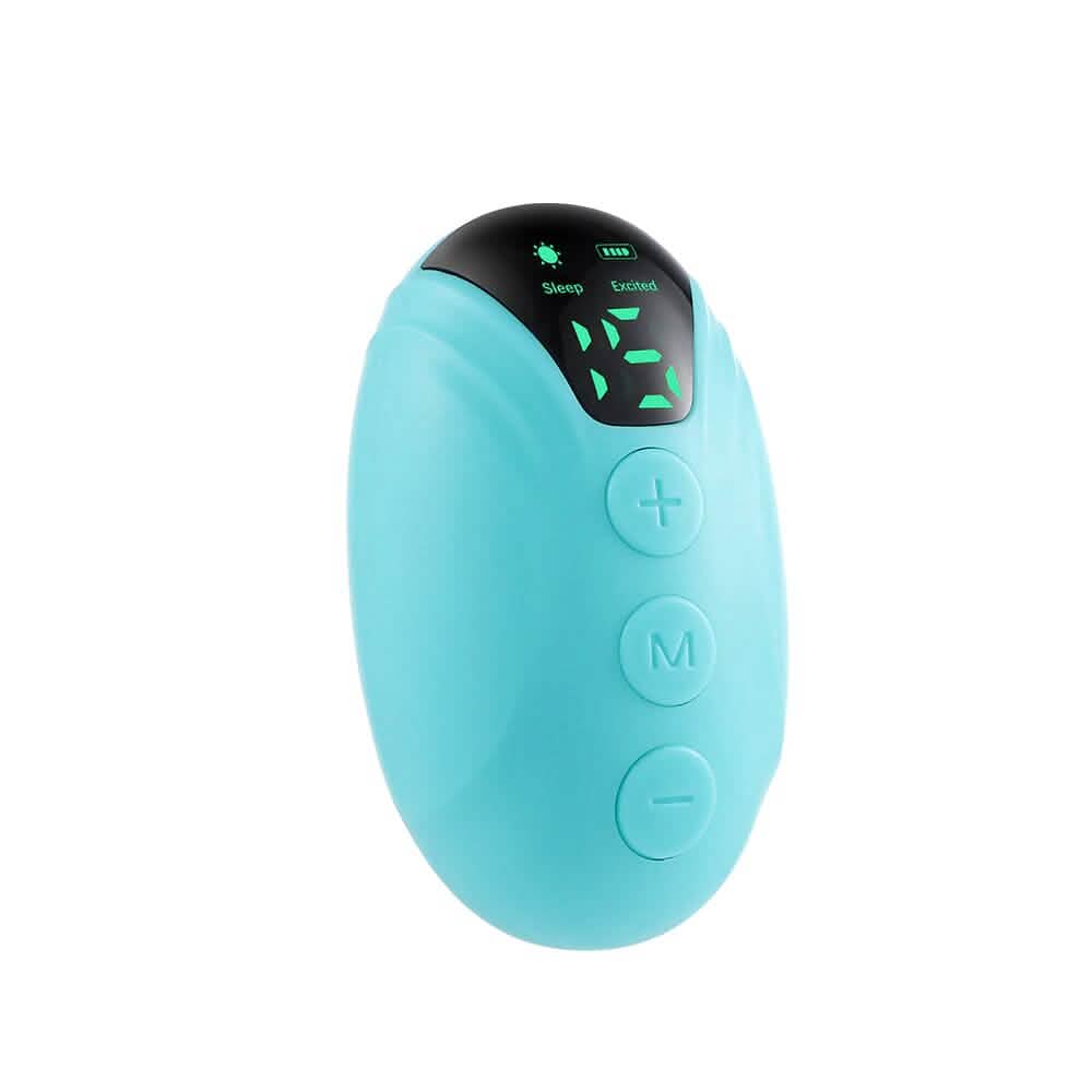 Handheld Sleep Instrument by DailySale