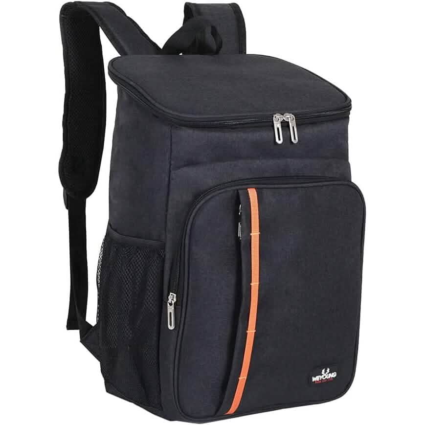 Heavy Duty Oxford Fabric Cooler Backpack by DailySale