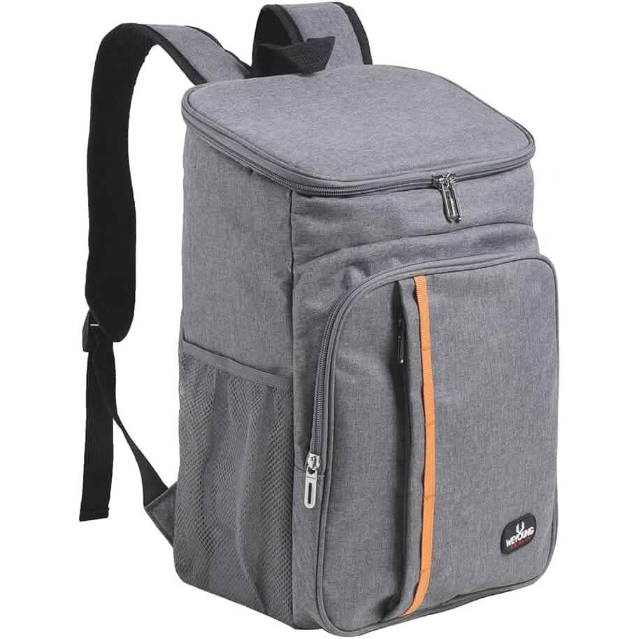Heavy Duty Oxford Fabric Cooler Backpack by DailySale
