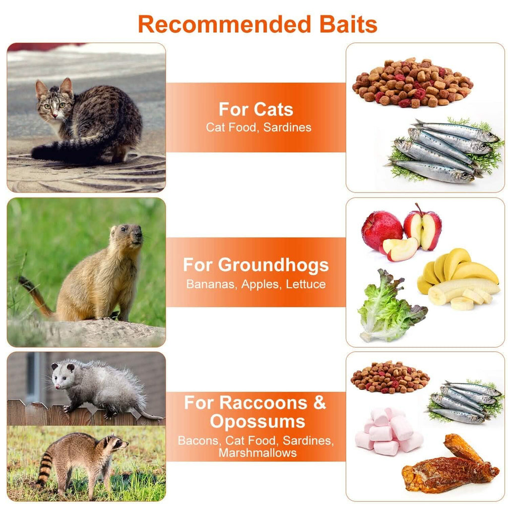 Humane Catch Release Live Animal Collapsible Galvanized Wire Trap Cage by DailySale