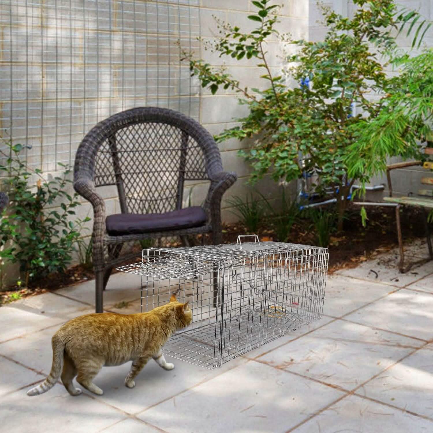 Humane Catch Release Live Animal Collapsible Galvanized Wire Trap Cage by DailySale