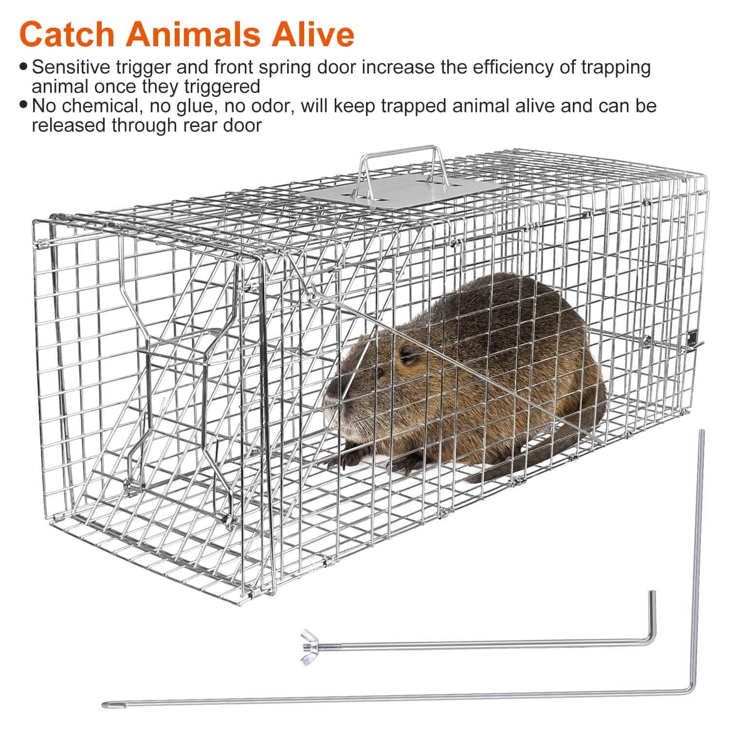 Humane Catch Release Live Animal Collapsible Galvanized Wire Trap Cage by DailySale