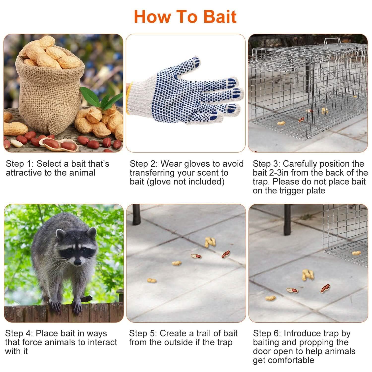 Humane Catch Release Live Animal Collapsible Galvanized Wire Trap Cage by DailySale