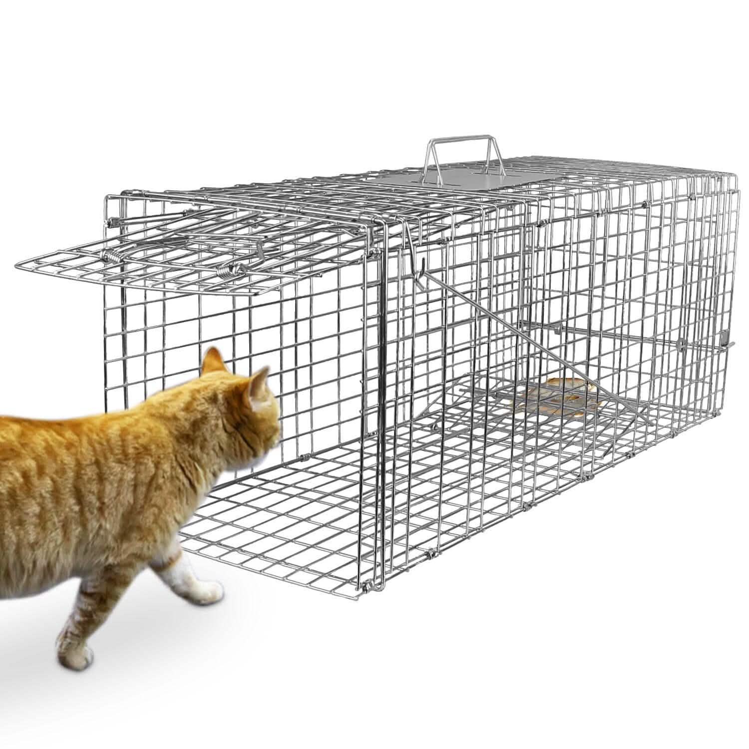 Humane Catch Release Live Animal Collapsible Galvanized Wire Trap Cage by DailySale
