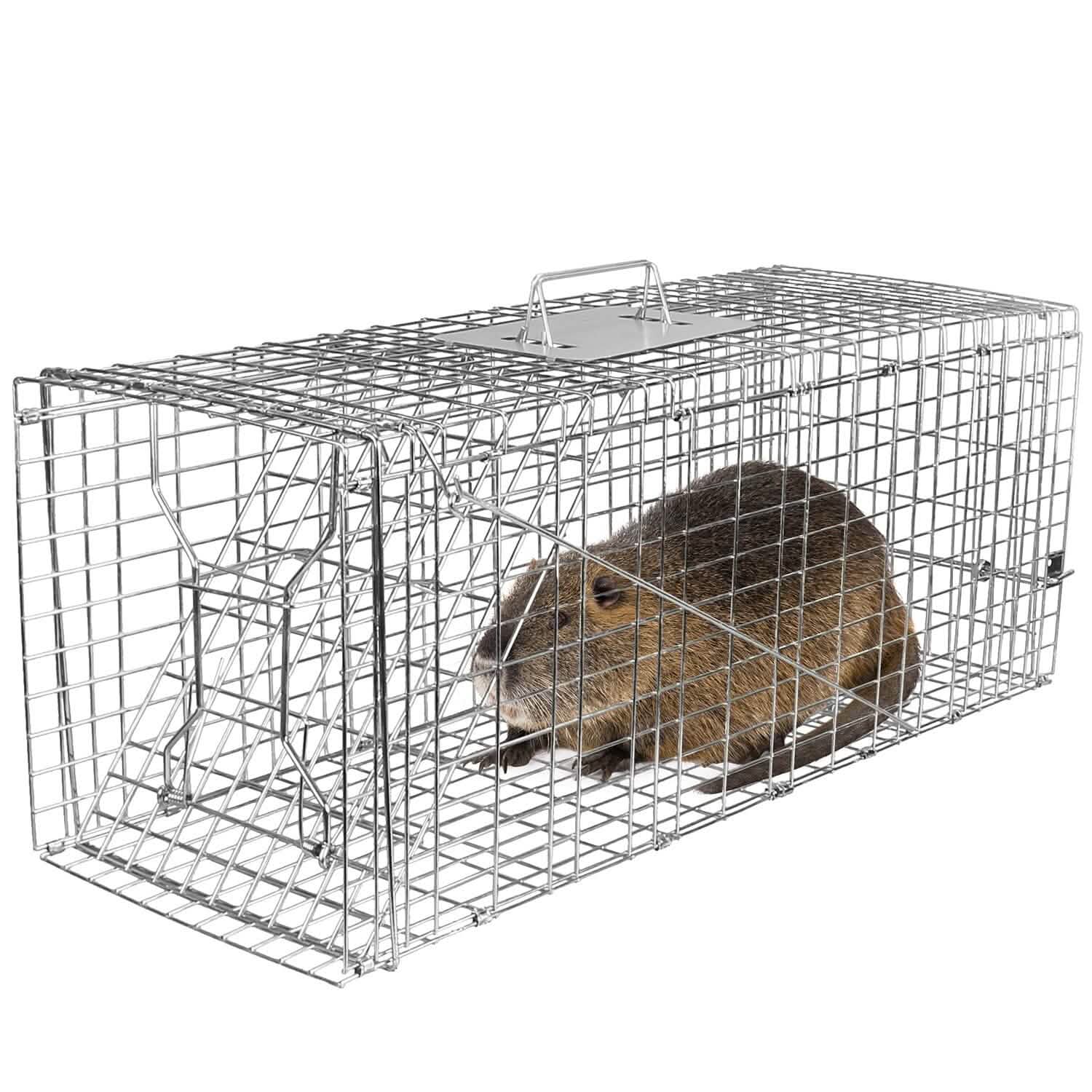 Humane Catch Release Live Animal Collapsible Galvanized Wire Trap Cage by DailySale