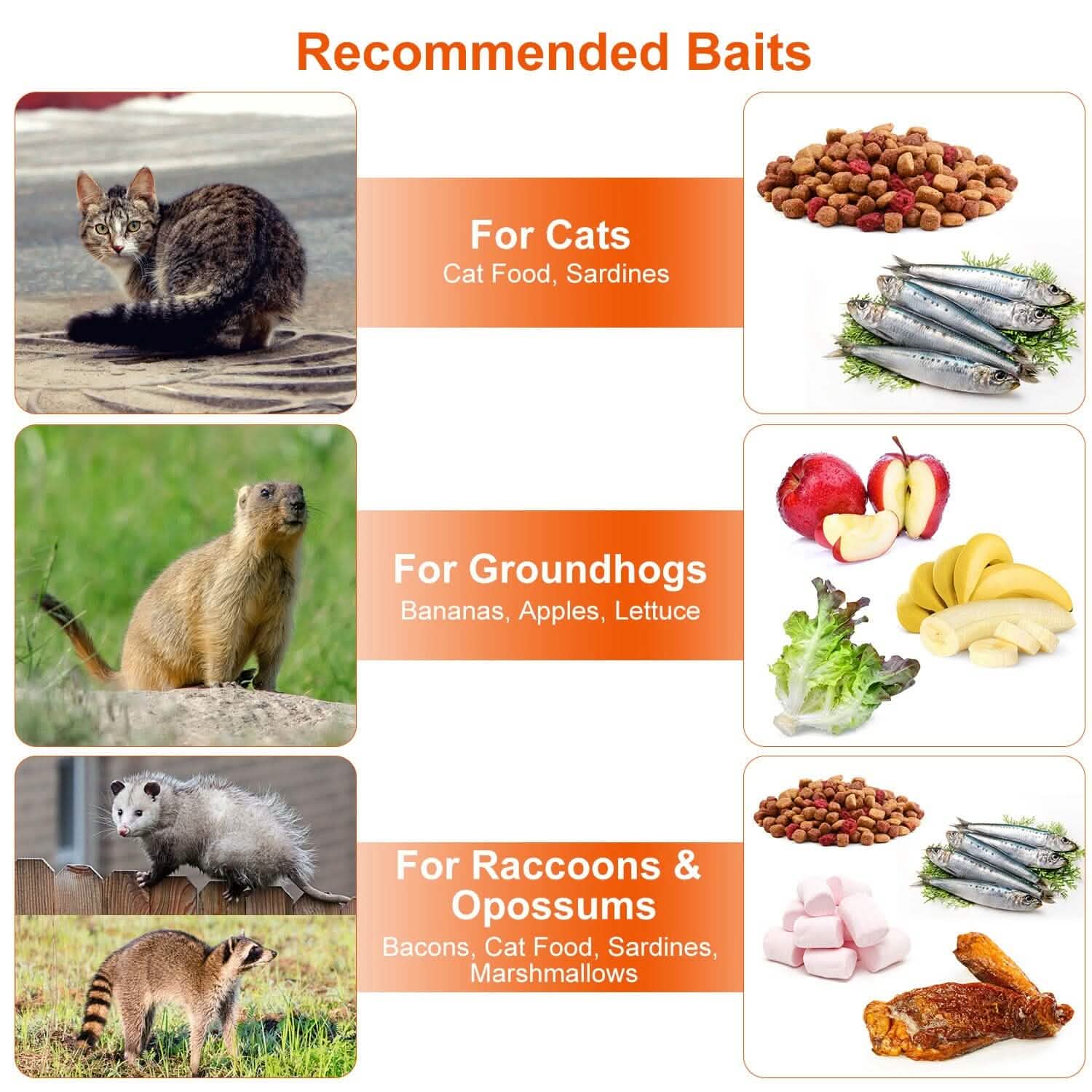 Humane Live Animal Rodent Cage Collapsible Galvanized Wire by DailySale
