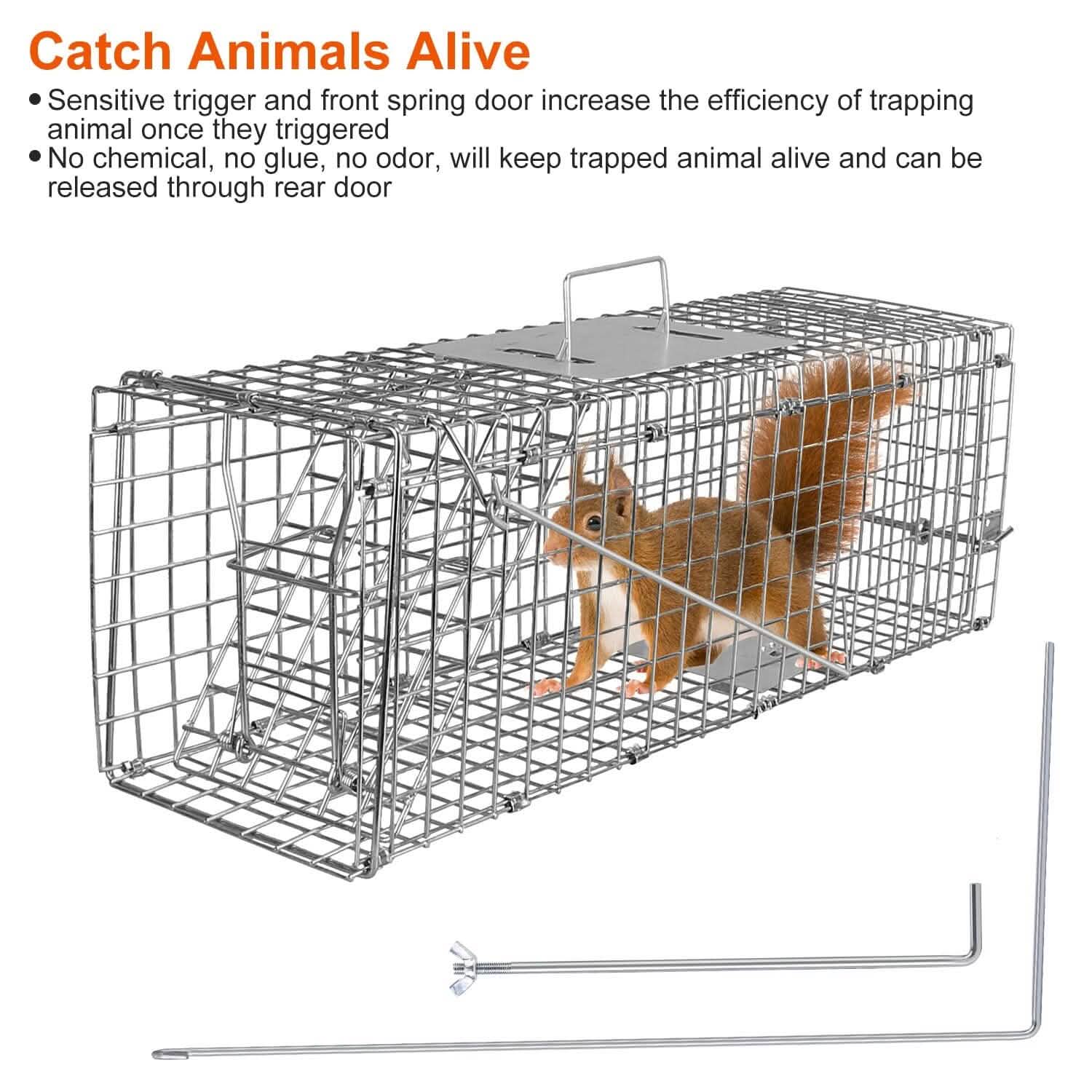 Humane Live Animal Rodent Cage Collapsible Galvanized Wire by DailySale