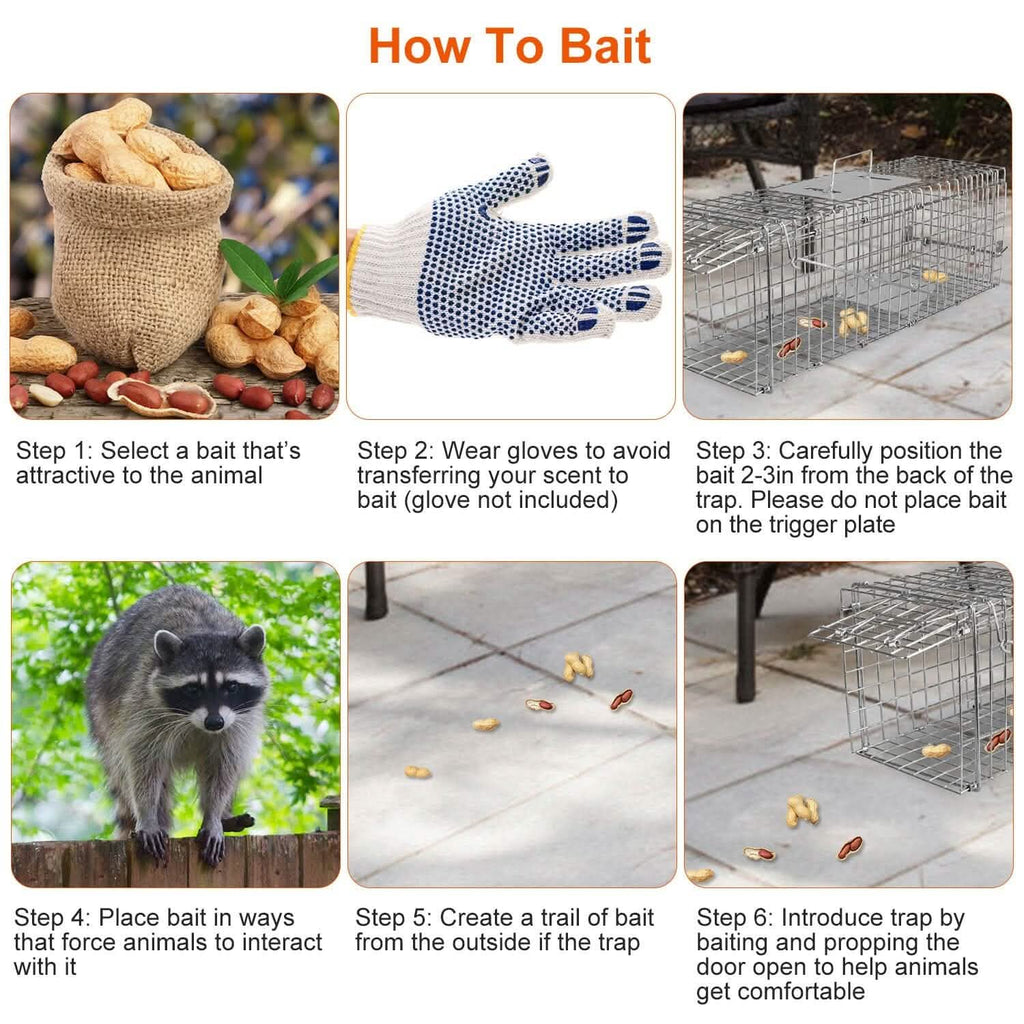 Humane Live Animal Rodent Cage Collapsible Galvanized Wire by DailySale