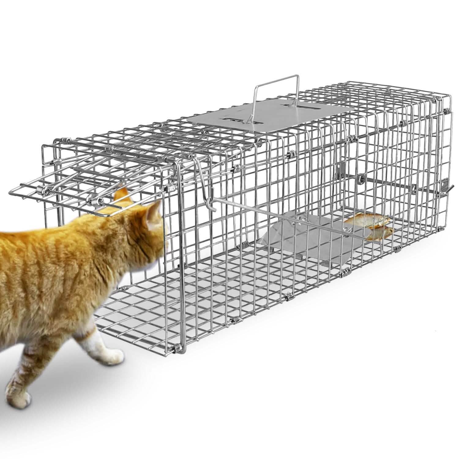 Humane Live Animal Rodent Cage Collapsible Galvanized Wire by DailySale