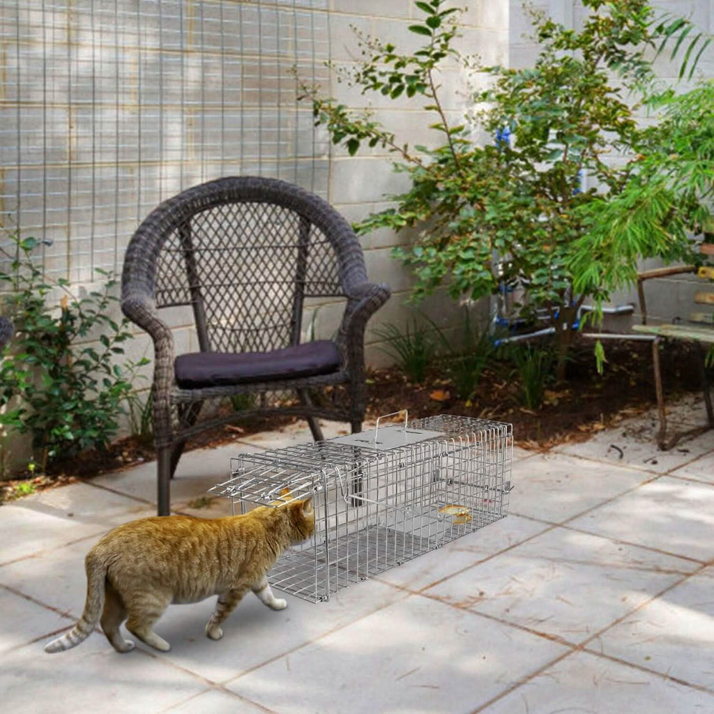 Humane Live Animal Rodent Cage Collapsible Galvanized Wire by DailySale