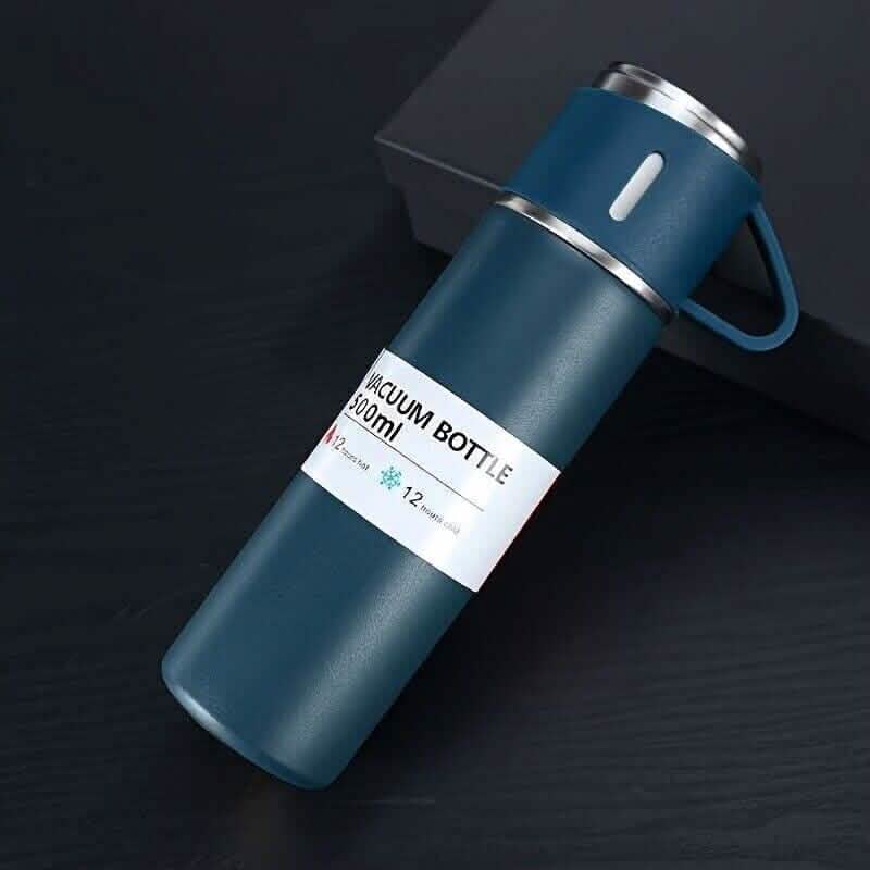Insulated Stainless Steel Water Bottle by DailySale
