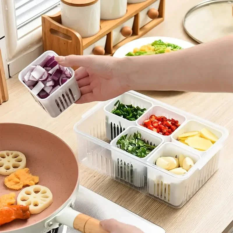 Kitchen Scallion Storage Box by DailySale