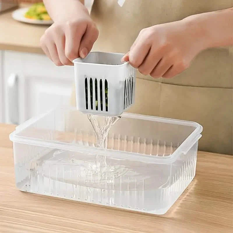 Kitchen Scallion Storage Box by DailySale