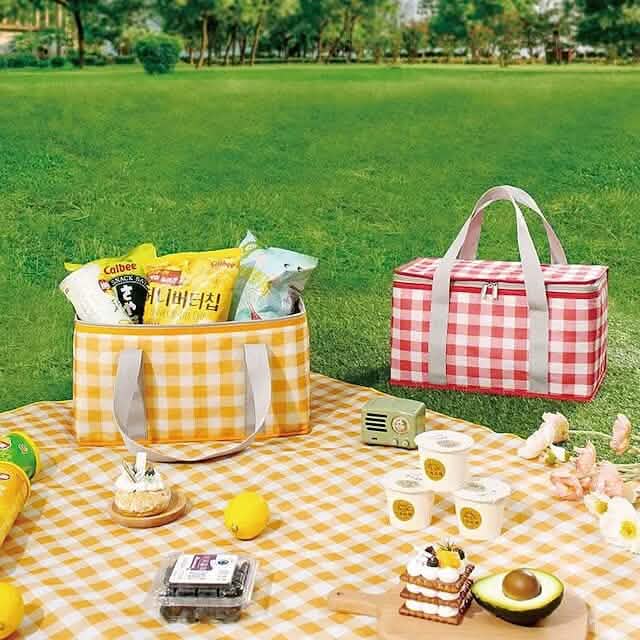 Large Capacity Picnic Insulation Bag by DailySale