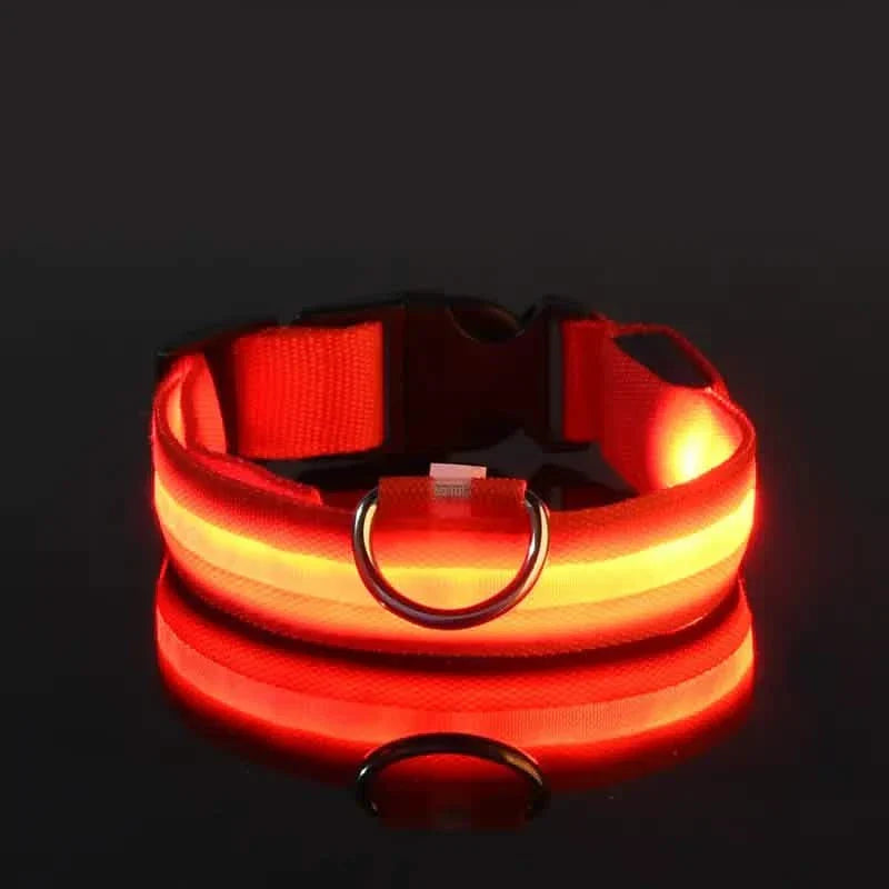 LED Dog Collars Light Adjustable Flashing Luminous Collar Night Anti-Lost by DailySale