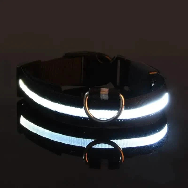LED Dog Collars Light Adjustable Flashing Luminous Collar Night Anti-Lost by DailySale