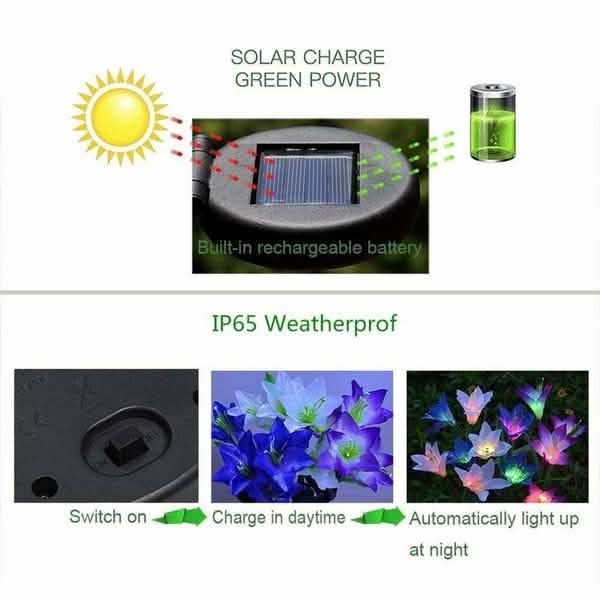 Lily Flower Multi-Color Changing LED Solar Powered Lights by DailySale