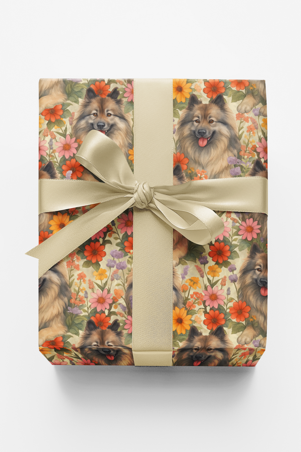 Garden Keeshond