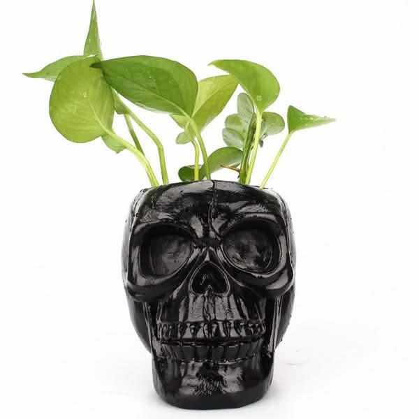 Multifunction Creative Skull Storage Stationery Holder by DailySale
