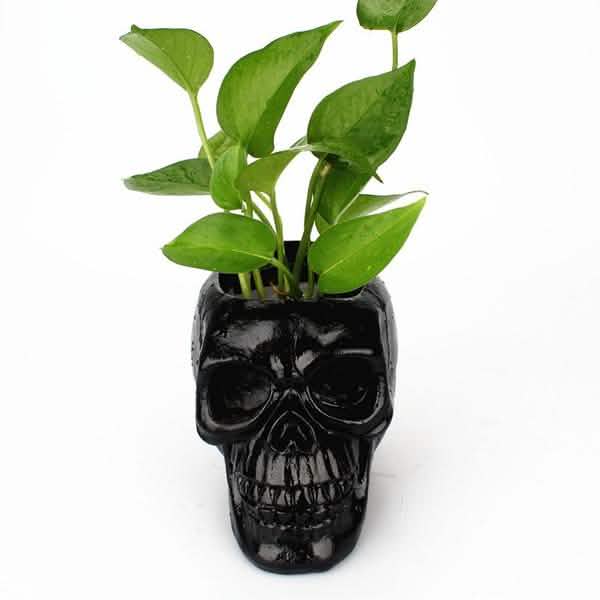 Multifunction Creative Skull Storage Stationery Holder by DailySale
