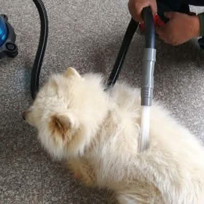 Multifunction Dust Vacuum Cleaner by DailySale
