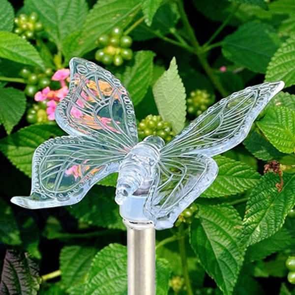 New Decorative Solar Outdoor Lights by DailySale