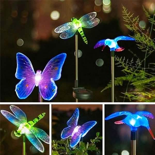 New Decorative Solar Outdoor Lights by DailySale