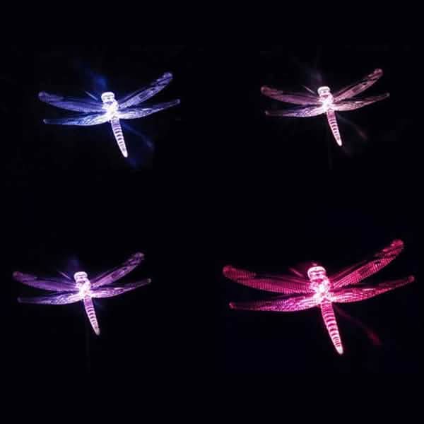 New Decorative Solar Outdoor Lights by DailySale