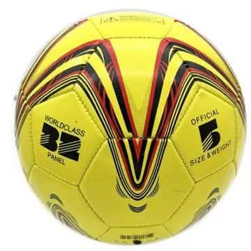 Official Size 5 Soccer Ball by DailySale