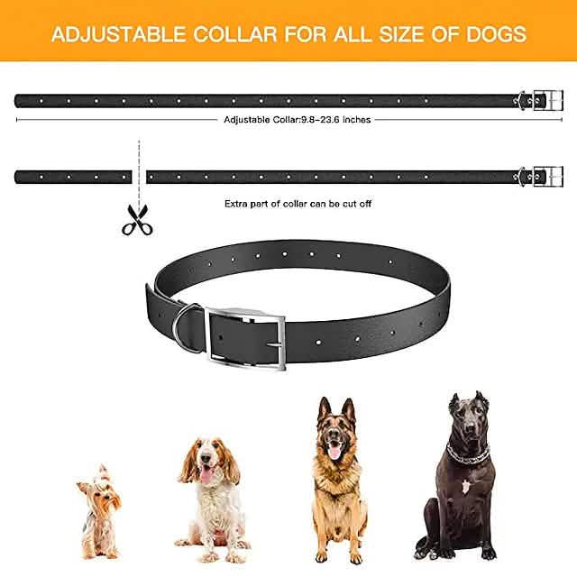 Pet Dog Shock Collar with Remote by DailySale