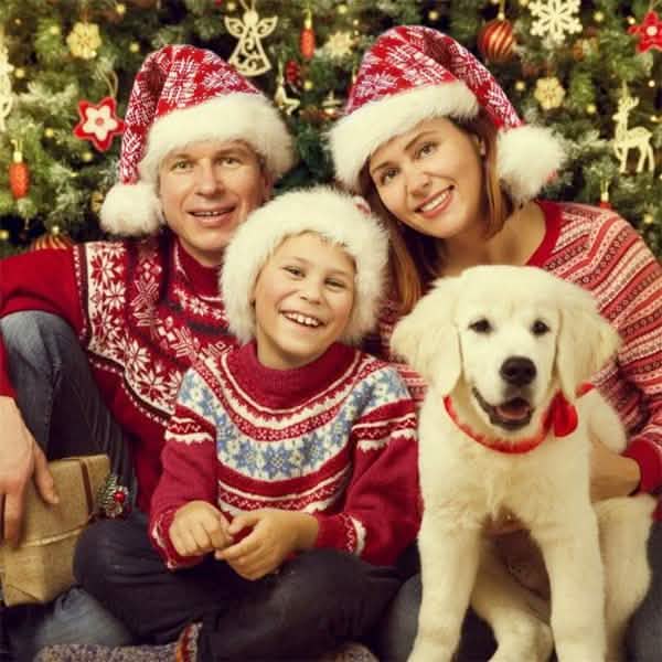 Plush Knitted Christmas Hat by DailySale