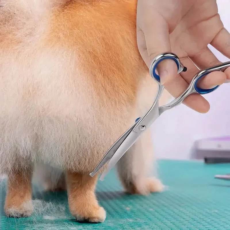 Premium Stainless Steel Grooming Scissors Set for Pet with Safety Round Tip by DailySale