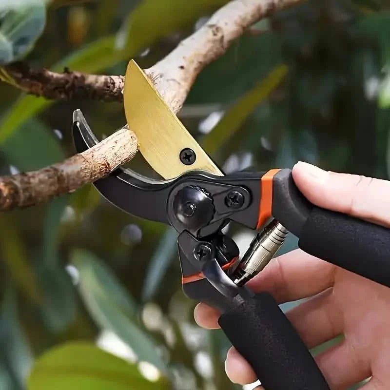 Professional Titanium Bypass Pruning Shears by DailySale