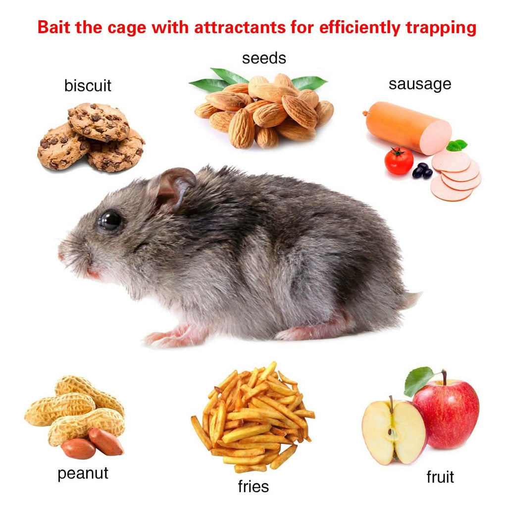 Rat Trap Cage Humane Live Rodent by DailySale