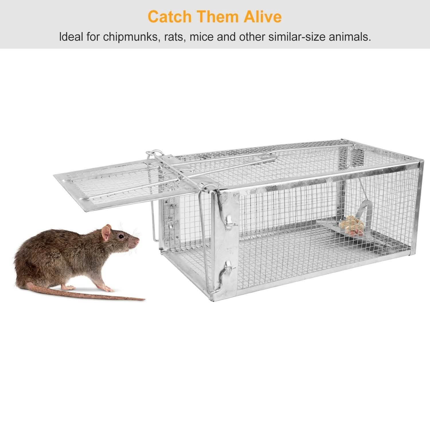 Rat Trap Cage Humane Live Rodent by DailySale