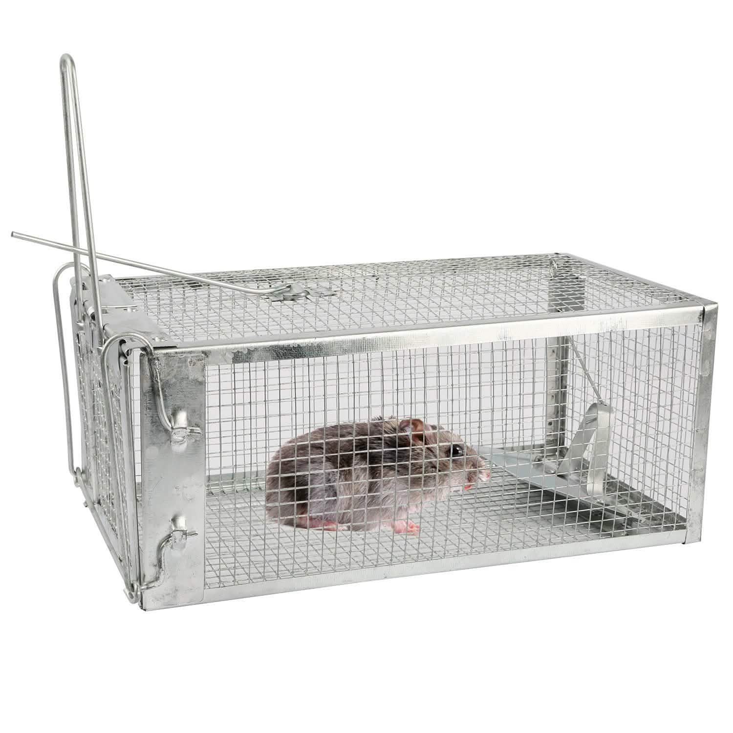 Rat Trap Cage Humane Live Rodent by DailySale